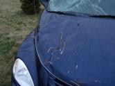 Auto Network Vehicle Image