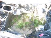 Auto Network Vehicle Image