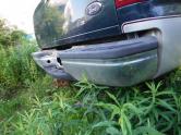 Auto Network Vehicle Image