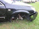 Auto Network Vehicle Image