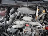 Auto Network Vehicle Image