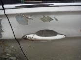 Auto Network Vehicle Image
