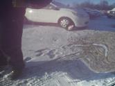 Auto Network Vehicle Image