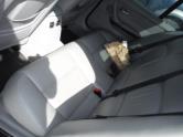 Auto Network Vehicle Image