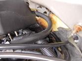 Auto Network Vehicle Image