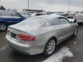 Auto Network Vehicle Image