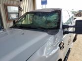 Auto Network Vehicle Image