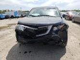 Auto Network Vehicle Image